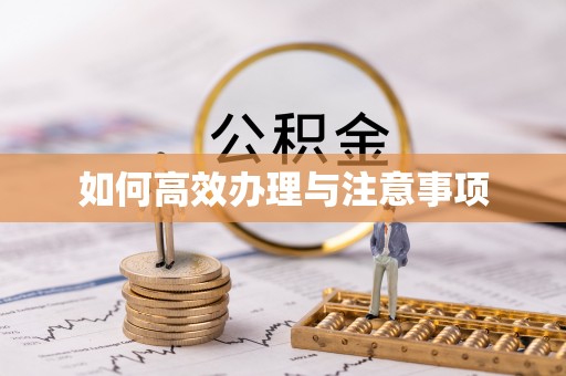威宁如何高效办理与注意事项