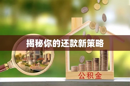 威宁揭秘你的还款新策略