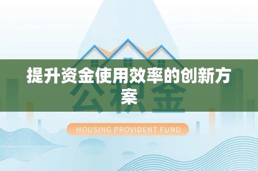 威宁提升资金使用效率的创新方案