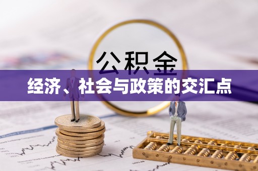 威宁经济、社会与政策的交汇点