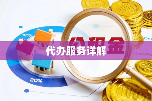 威宁代办服务详解